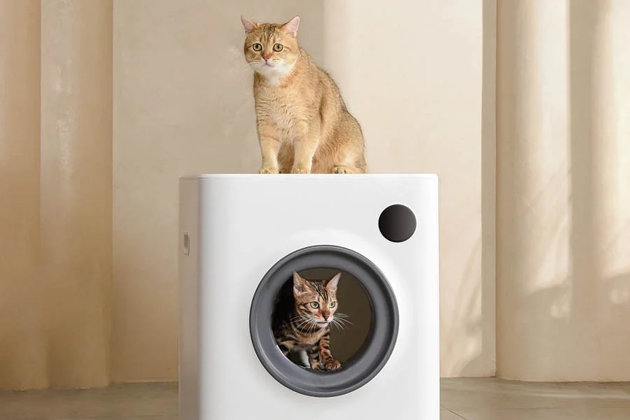 auto clean litter box