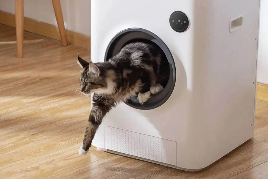 automatic scooping litter box