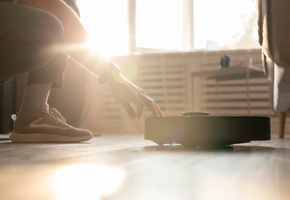 robot vacuum cleaner and mop